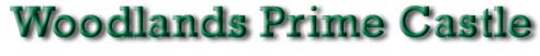 logo.jpg (11086 bytes)