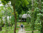 spice-village-thekkady