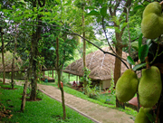 spice-village-thekkady