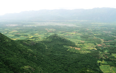 pandikuzhi