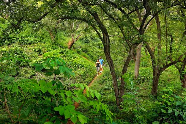 Image result for thekkady